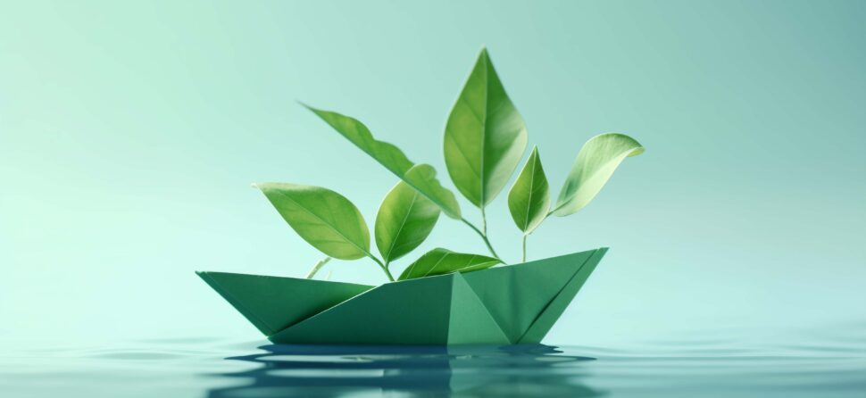 Cuidar do planeta: um compromisso necessário